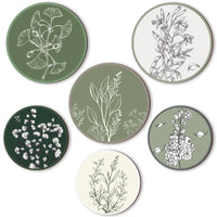 Boho Serenity 6-Piece Plant Art Wall Set